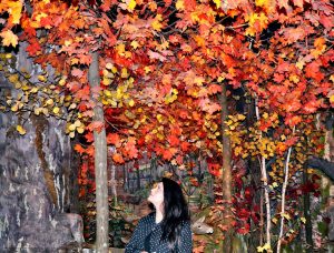 The leaves are changing, I feel poetry in the air. - IZZAT RIAZ